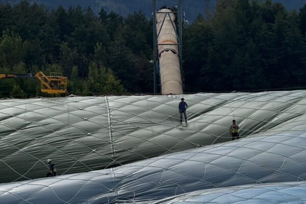 WhatsApp Image 2026-03-28 at 4.18.57 PM (1)