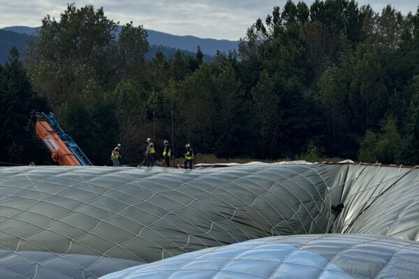 WhatsApp Image 2026-03-28 at 4.18.57 PM