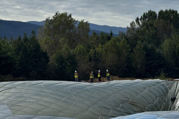 WhatsApp Image 2026-03-28 at 4.18.58 PM (1)