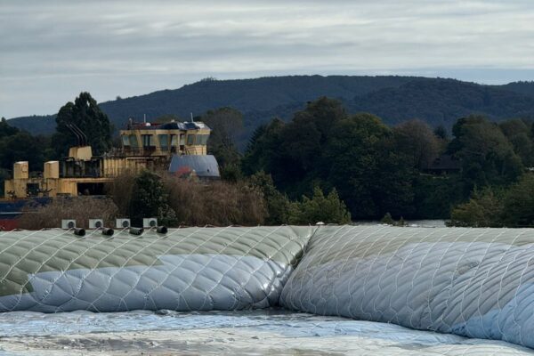 WhatsApp Image 2026-03-28 at 4.18.58 PM