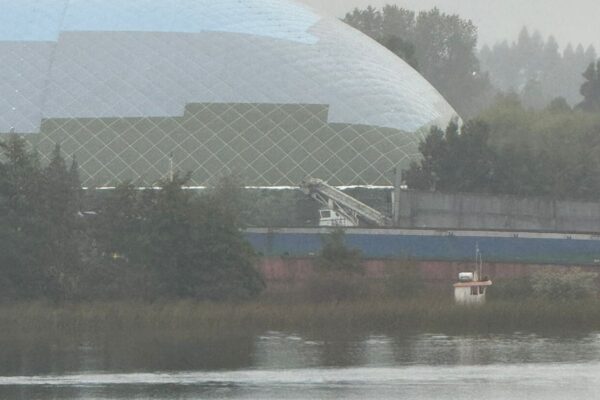 WhatsApp Image 2026-03-29 at 8.48.17 AM